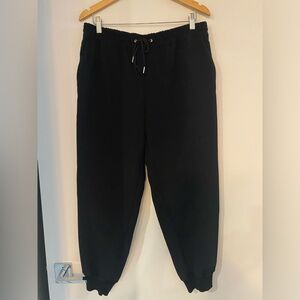 Aritzia dress joggers large